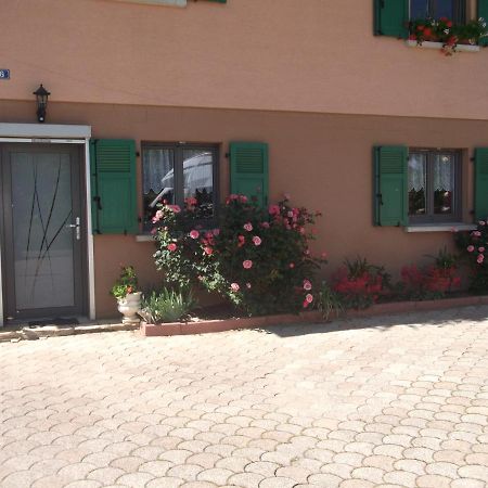 Gite Les Rosiers Traubach-le-Bas Ngoại thất bức ảnh